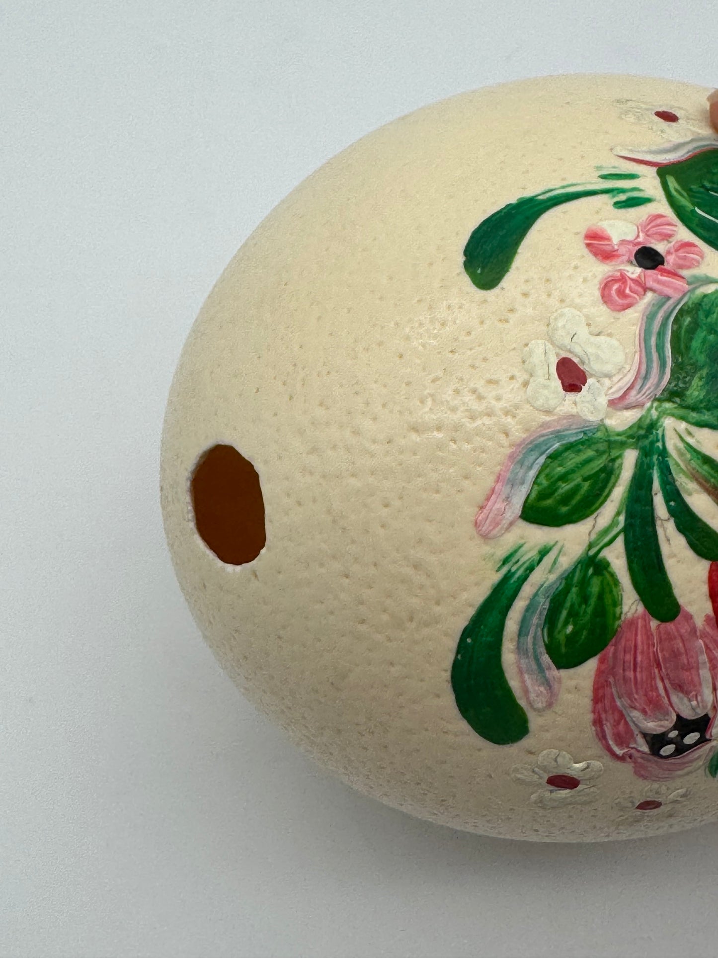 Handgeschilderd struisvogel ei