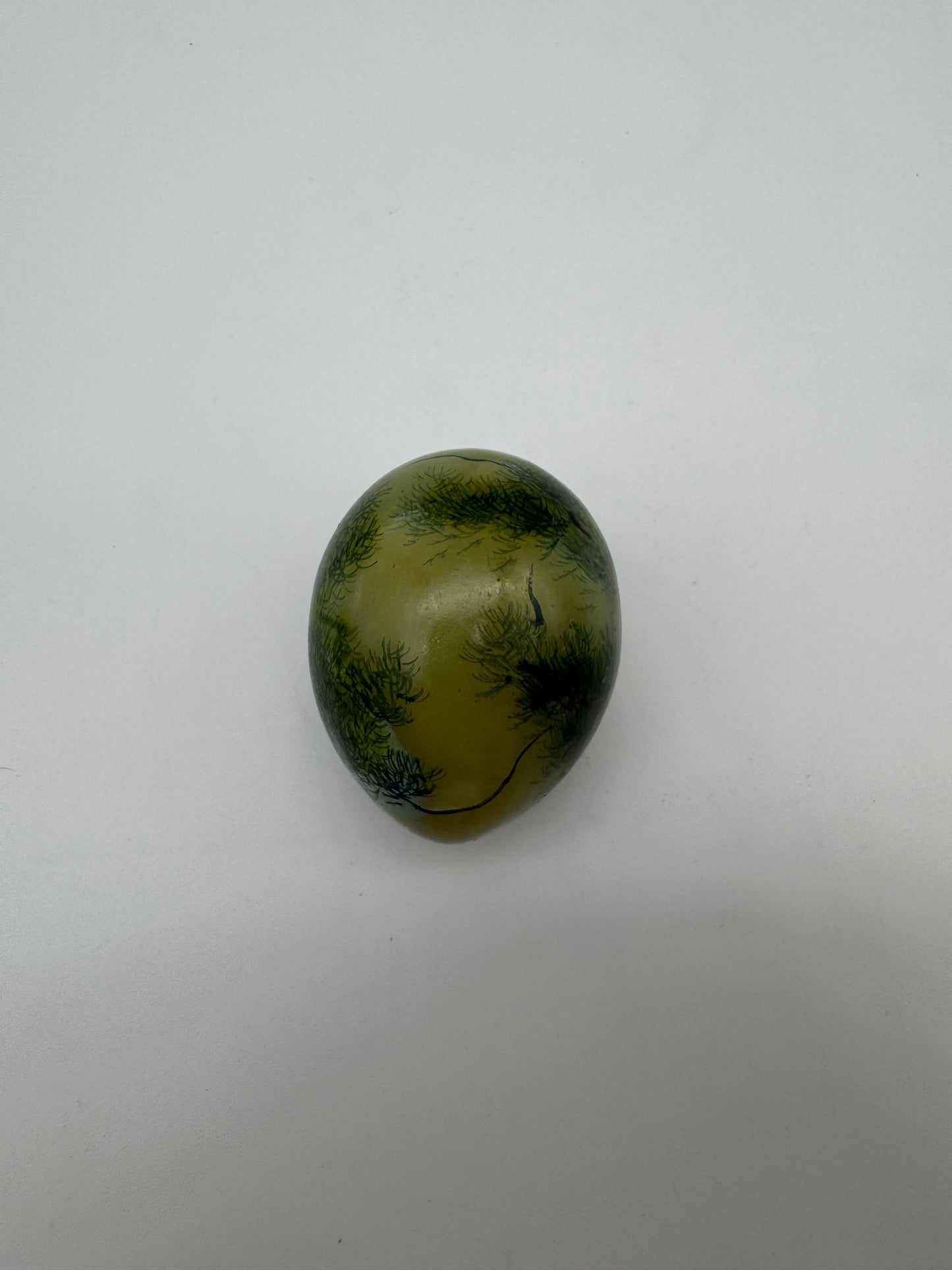 Vintage jade ei handgeschilderd green stone exotic bird
